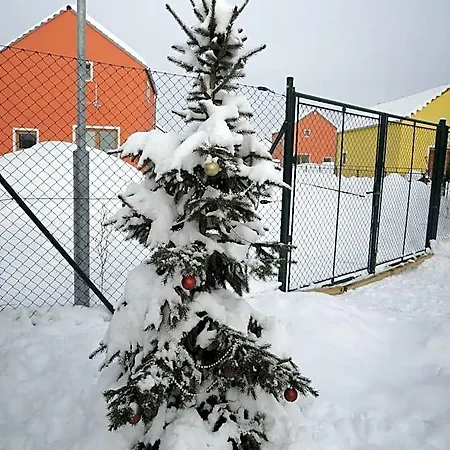 Buxusson Lomnice nad Lužnicí