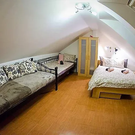 Buxusson 3*