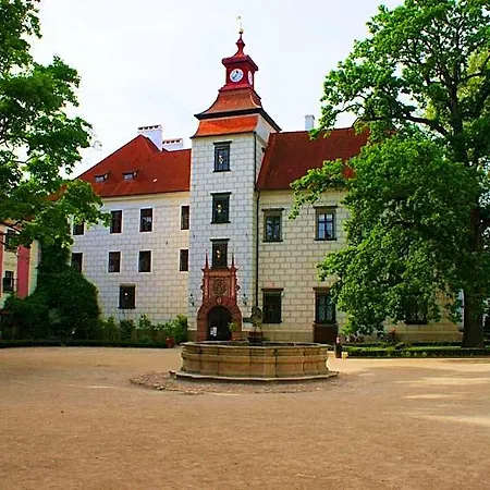 Buxusson Lomnice nad Lužnicí