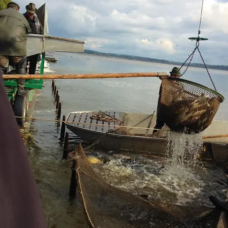 Vakantiepark Buxusson 3*