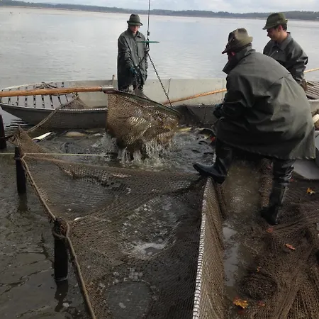 Buxusson Vakantiepark