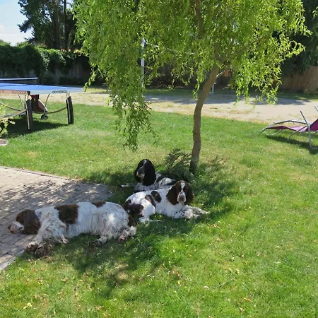 Vakantiepark Buxusson