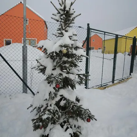 Buxusson Lomnice nad Lužnicí