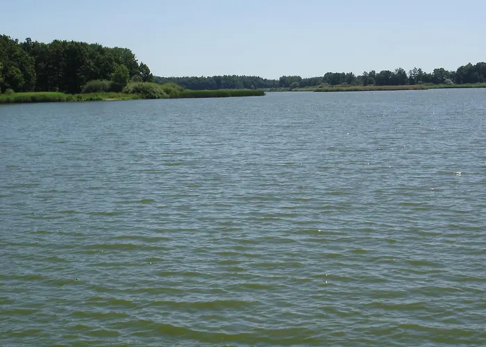 Buxusson 3* Lomnice nad Luznici
