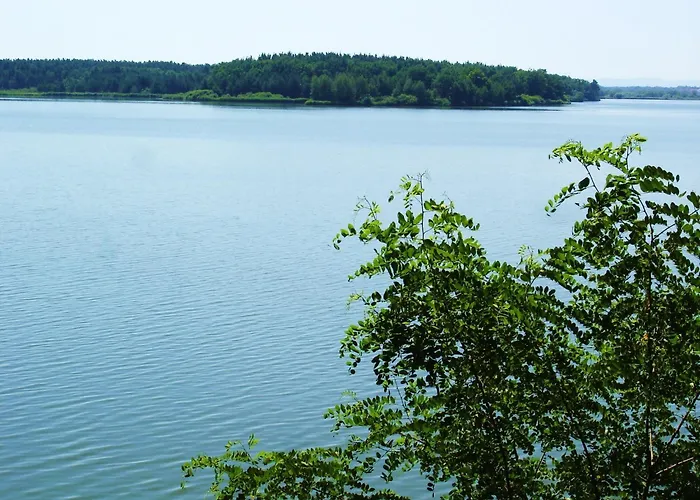 База отдыха Buxusson Lomnice nad Luznici