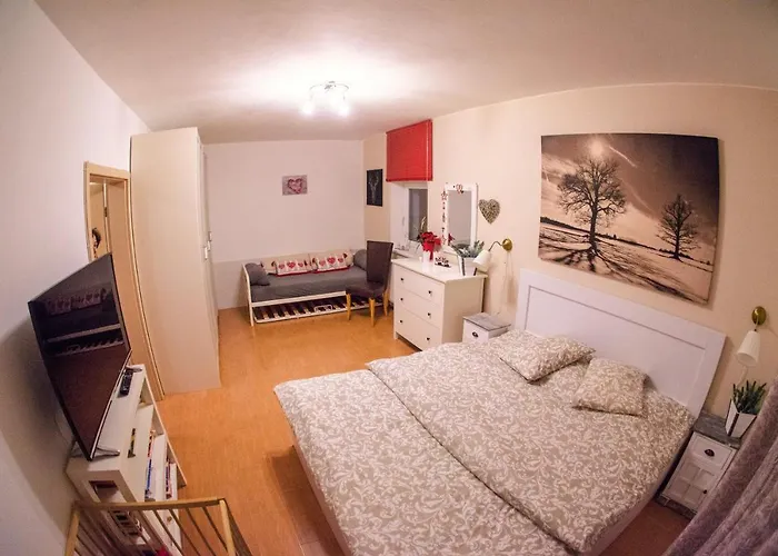 Buxusson База отдыха Lomnice nad Luznici